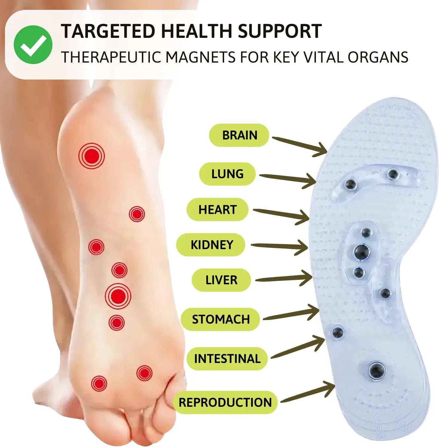 Clarksons Care | Relax Magnetic Insoles